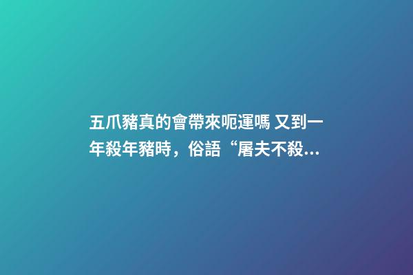 五爪豬真的會帶來呃運嗎 又到一年殺年豬時，俗語“屠夫不殺五爪豬”啥意思？你怎么看？-第1張-觀點-玄機派